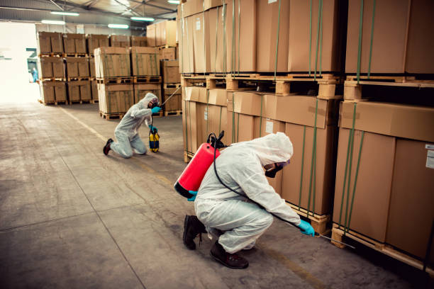 Best Wasp Removal Services  in St Clair, PA