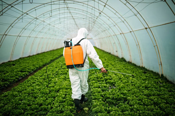 Best Affordable Pest Control Services  in St Clair, PA