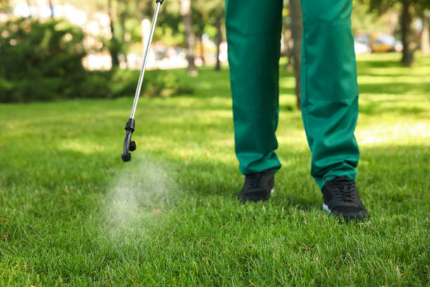 Best Affordable Pest Control Services  in St Clair, PA
