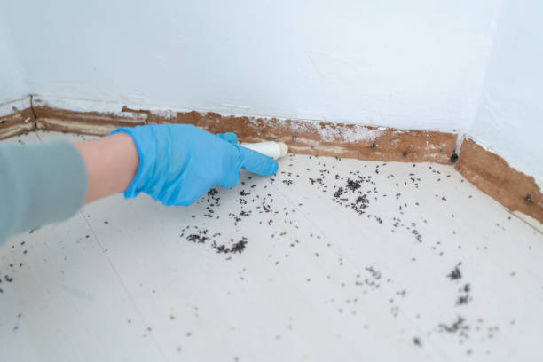 St Clair, PA Pest Control Company