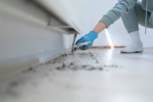 Best Bed Bug Extermination  in St Clair, PA